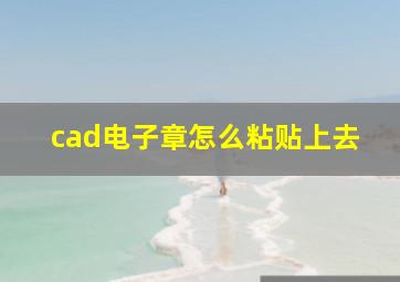 cad电子章怎么粘贴上去