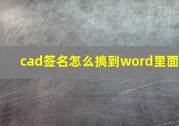 cad签名怎么搞到word里面