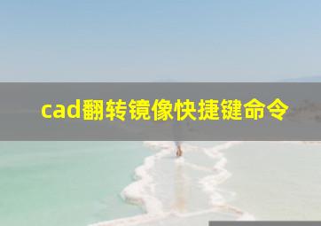 cad翻转镜像快捷键命令