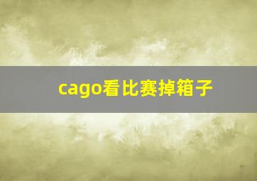 cago看比赛掉箱子