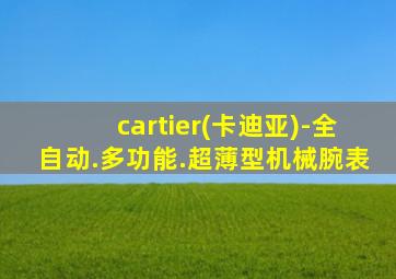 cartier(卡迪亚)-全自动.多功能.超薄型机械腕表