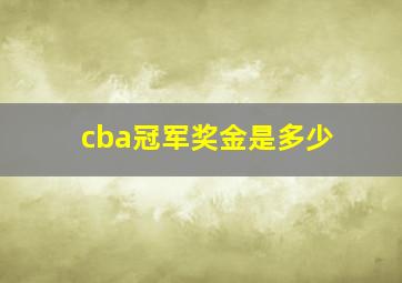 cba冠军奖金是多少