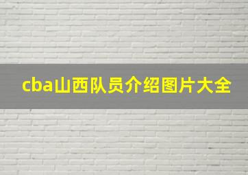 cba山西队员介绍图片大全