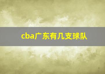 cba广东有几支球队