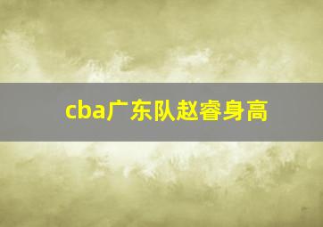 cba广东队赵睿身高