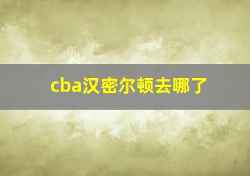 cba汉密尔顿去哪了