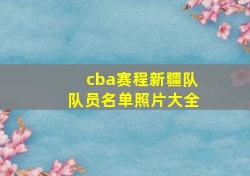 cba赛程新疆队队员名单照片大全