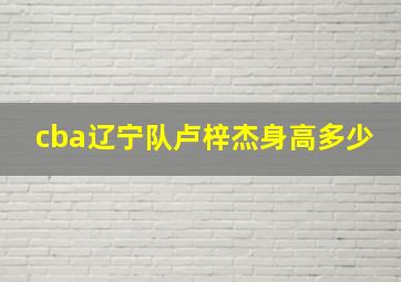 cba辽宁队卢梓杰身高多少