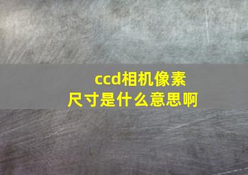 ccd相机像素尺寸是什么意思啊