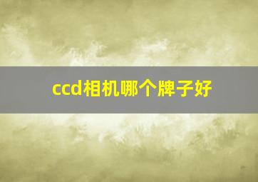 ccd相机哪个牌子好