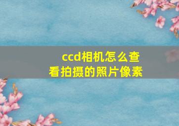 ccd相机怎么查看拍摄的照片像素