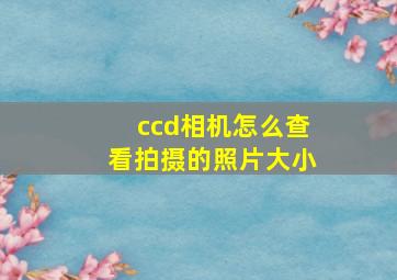 ccd相机怎么查看拍摄的照片大小