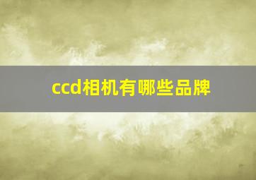 ccd相机有哪些品牌