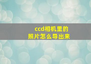 ccd相机里的照片怎么导出来