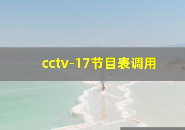 cctv-17节目表调用