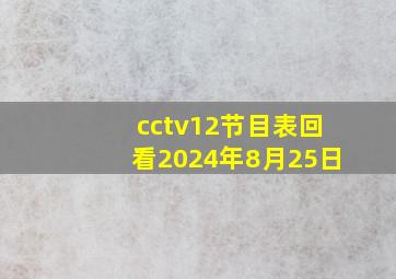 cctv12节目表回看2024年8月25日