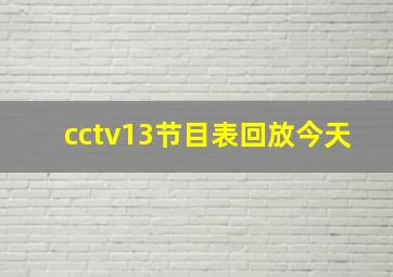 cctv13节目表回放今天