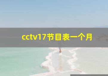 cctv17节目表一个月