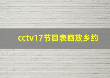 cctv17节目表回放乡约