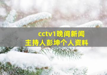 cctv1晚间新闻主持人彭坤个人资料