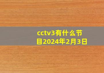 cctv3有什么节目2024年2月3日