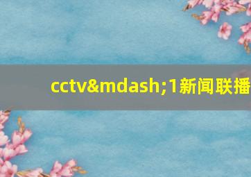 cctv—1新闻联播