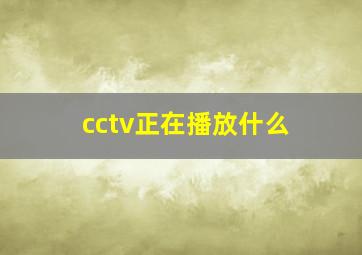 cctv正在播放什么