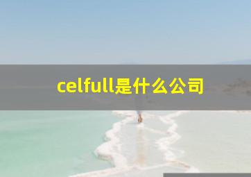 celfull是什么公司