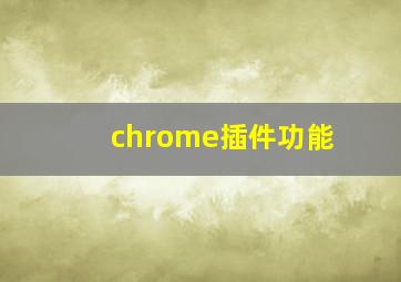 chrome插件功能