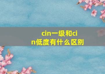 cin一级和cin低度有什么区别