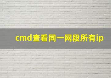 cmd查看同一网段所有ip