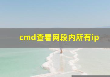 cmd查看网段内所有ip