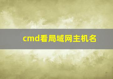 cmd看局域网主机名