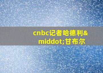 cnbc记者哈德利·甘布尔