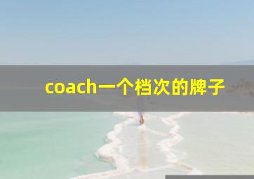 coach一个档次的牌子