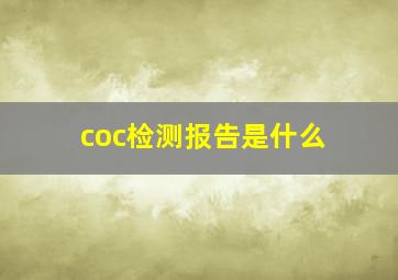 coc检测报告是什么