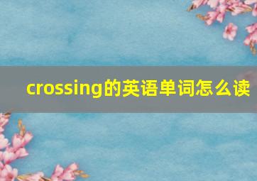 crossing的英语单词怎么读