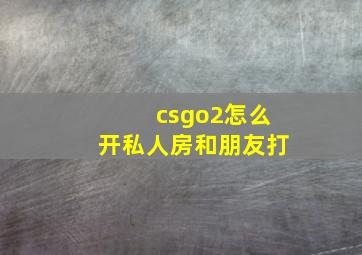 csgo2怎么开私人房和朋友打