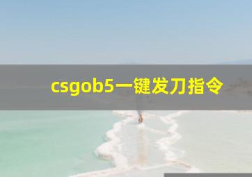 csgob5一键发刀指令