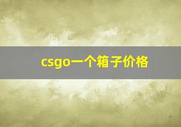 csgo一个箱子价格