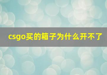 csgo买的箱子为什么开不了