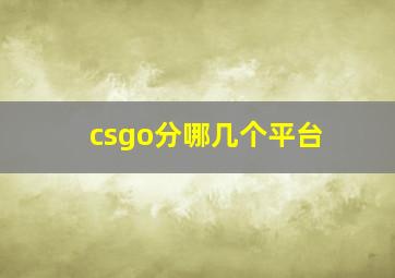 csgo分哪几个平台