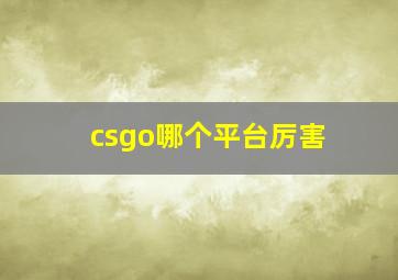 csgo哪个平台厉害