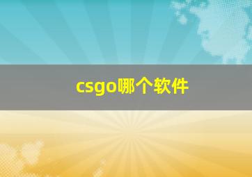 csgo哪个软件