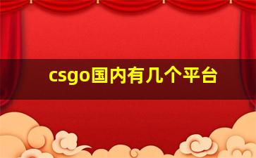 csgo国内有几个平台