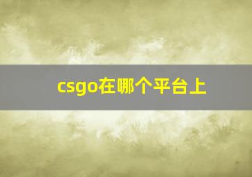 csgo在哪个平台上