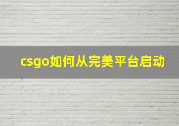 csgo如何从完美平台启动