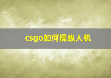 csgo如何操纵人机