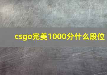 csgo完美1000分什么段位