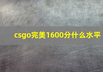 csgo完美1600分什么水平